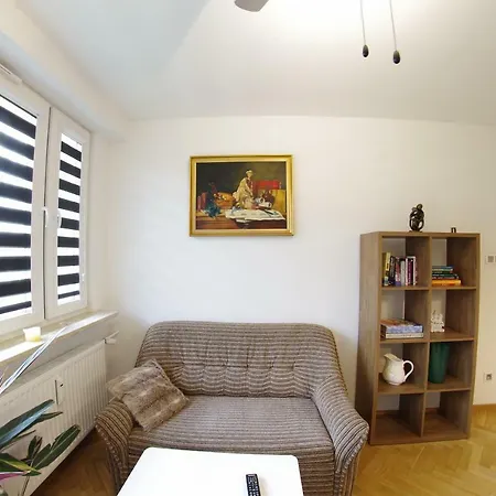 Apatramenty Promienista * Poznań