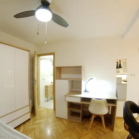 Apatramenty Promienista *