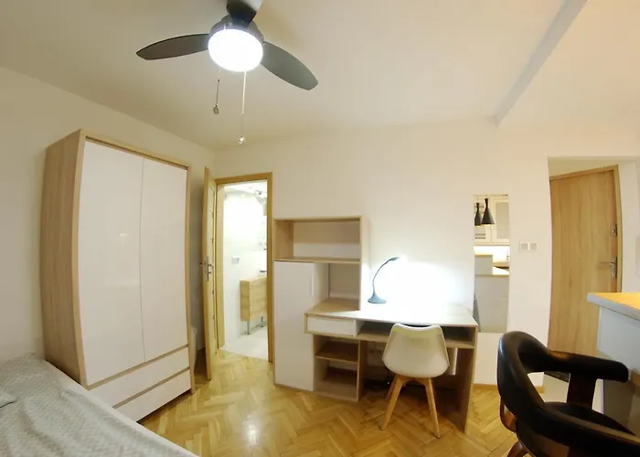 Apatramenty Promienista *